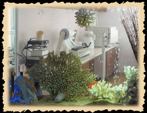 Venüs Estetik kliniğinden fotoğraf 103